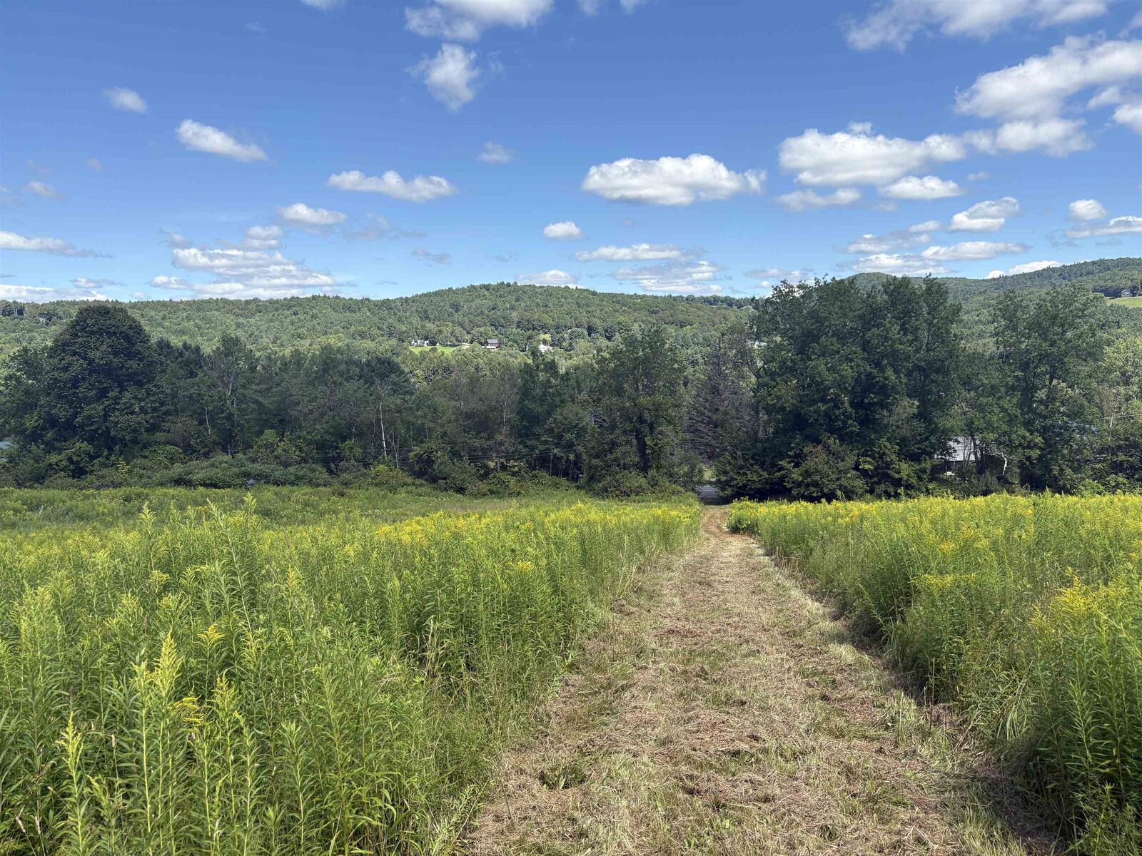 Property Photo: 00 Route 44 VT 05037