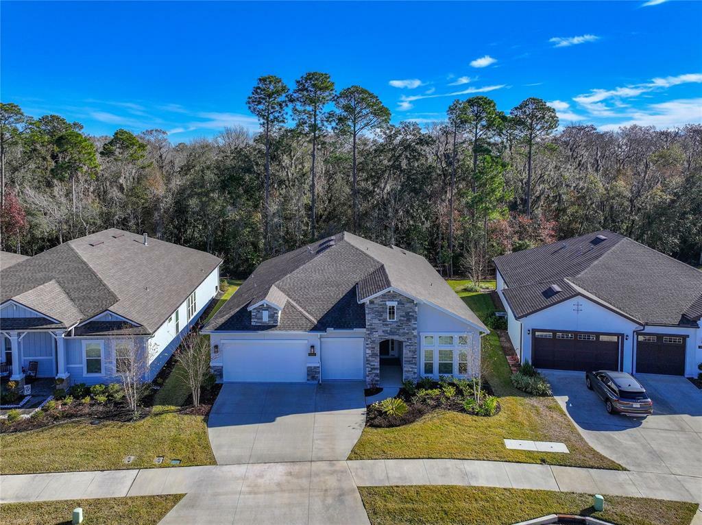 95062 Golden Glow Drive  Fernandina Beach FL 32034 photo