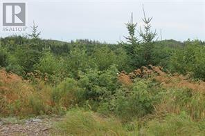 Property Photo:  Lot 129 Country Lane  NL A0B 1G0 