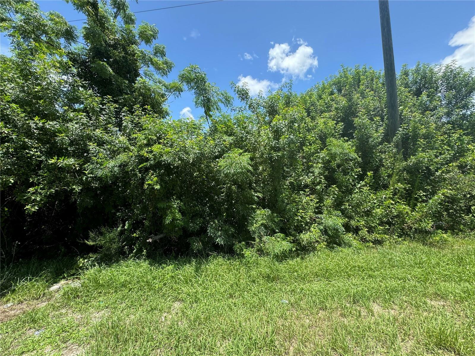 Property Photo:  21450 Quesada Avenue  FL 33952 