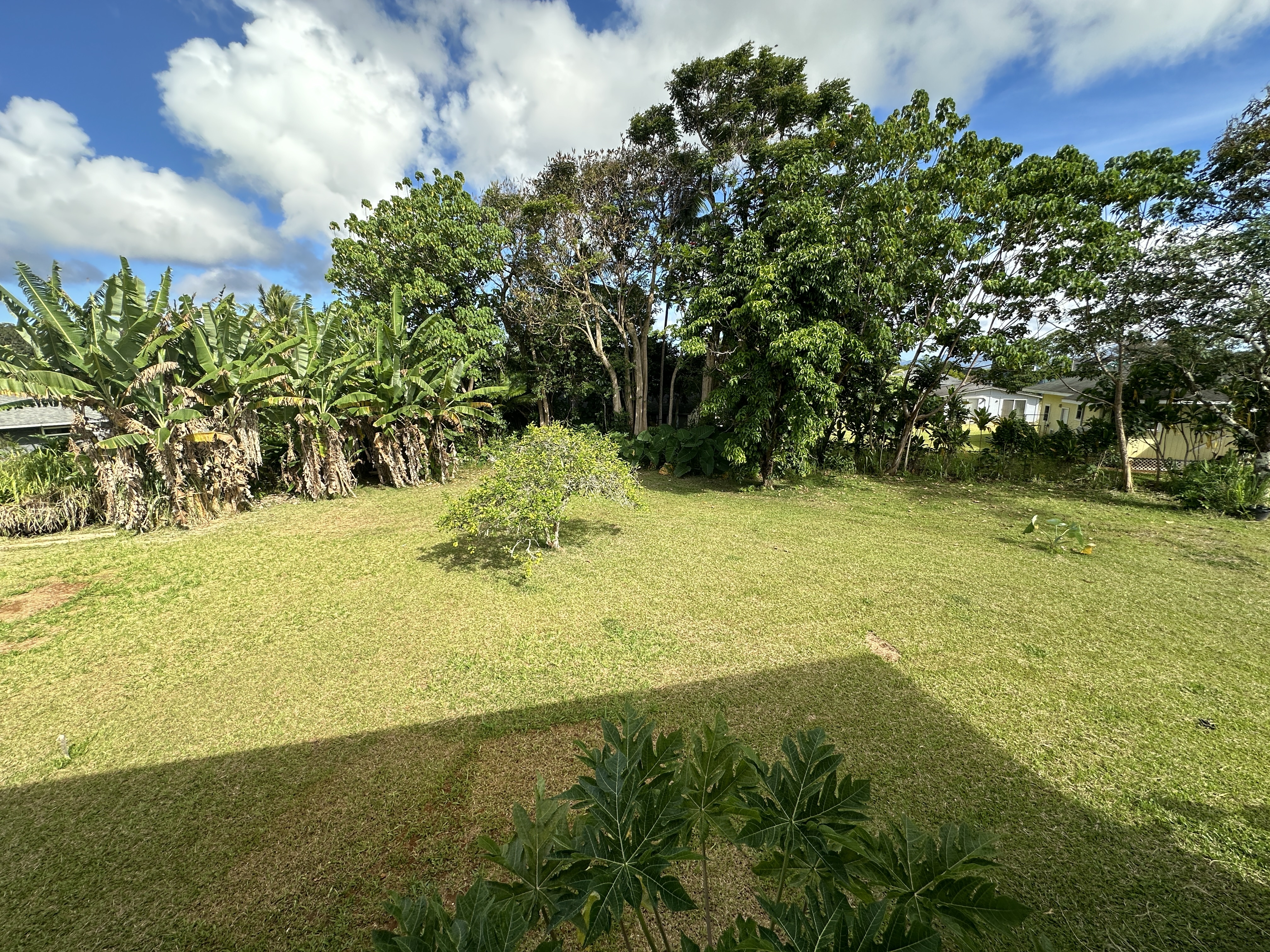 Property Photo:  276 Aina Pua Pl 2  HI 96746 