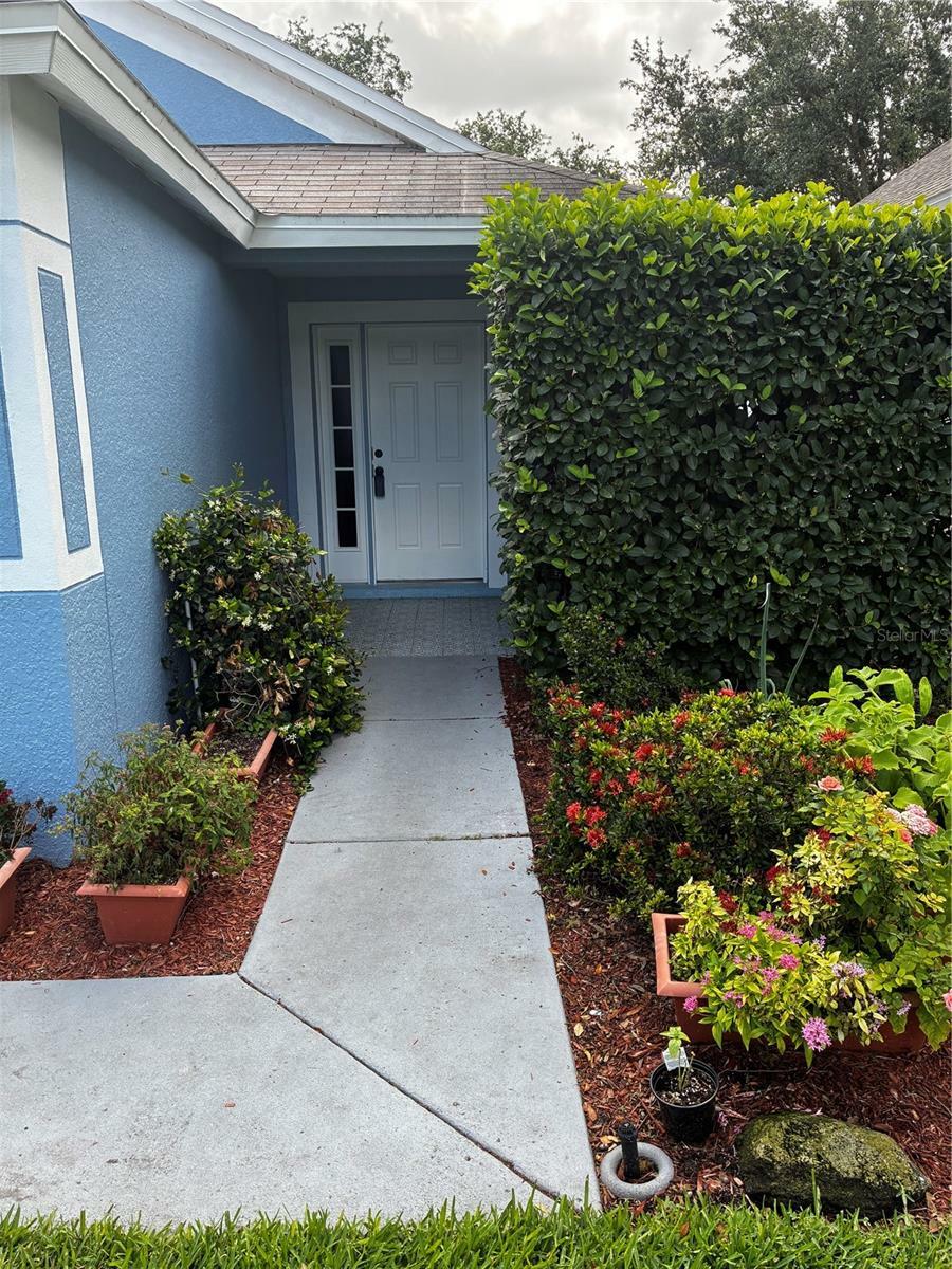 Property Photo: 8434 Hawbuck Street FL 34655