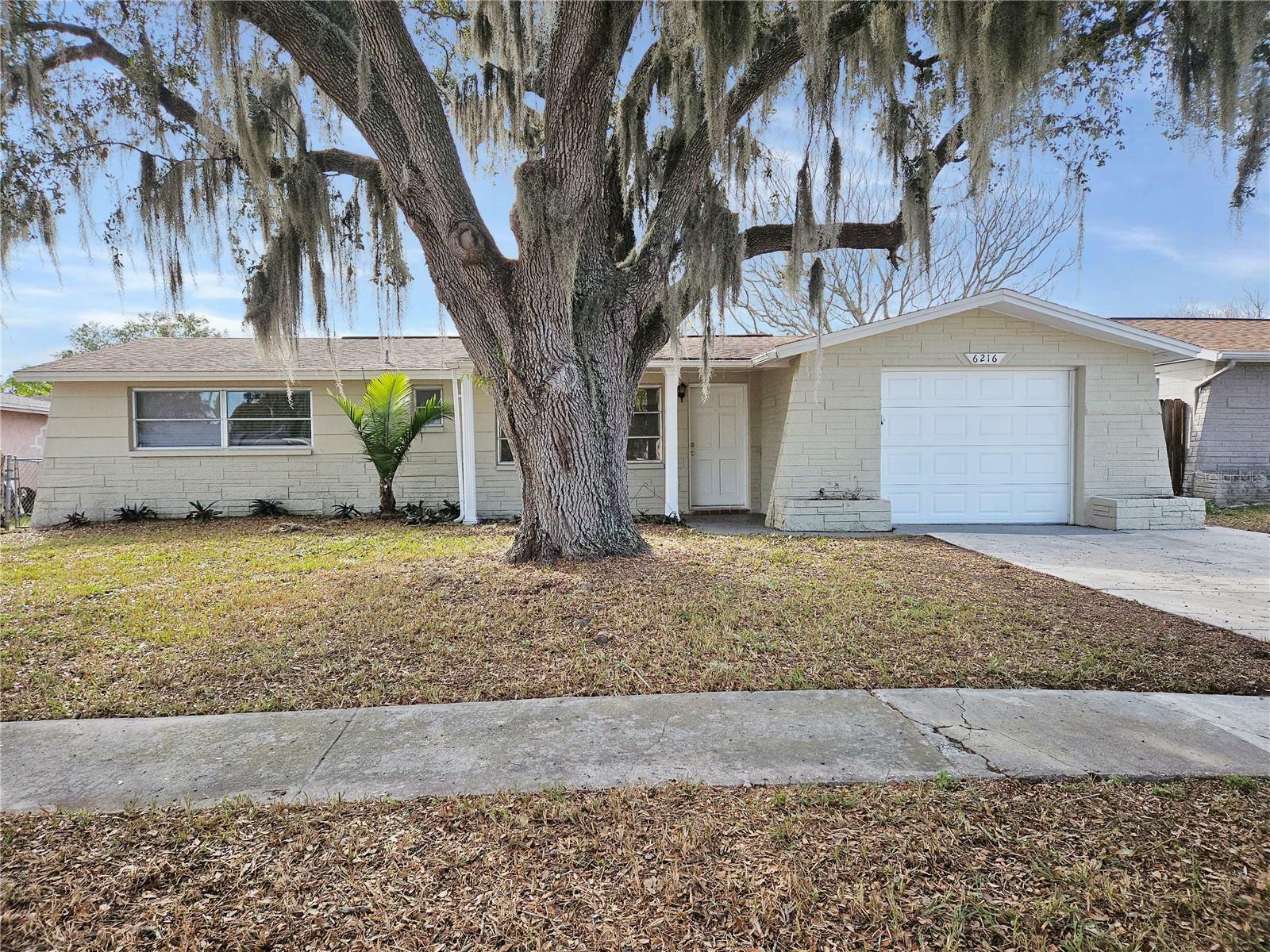 Property Photo: 6216 7th Avenue FL 34653