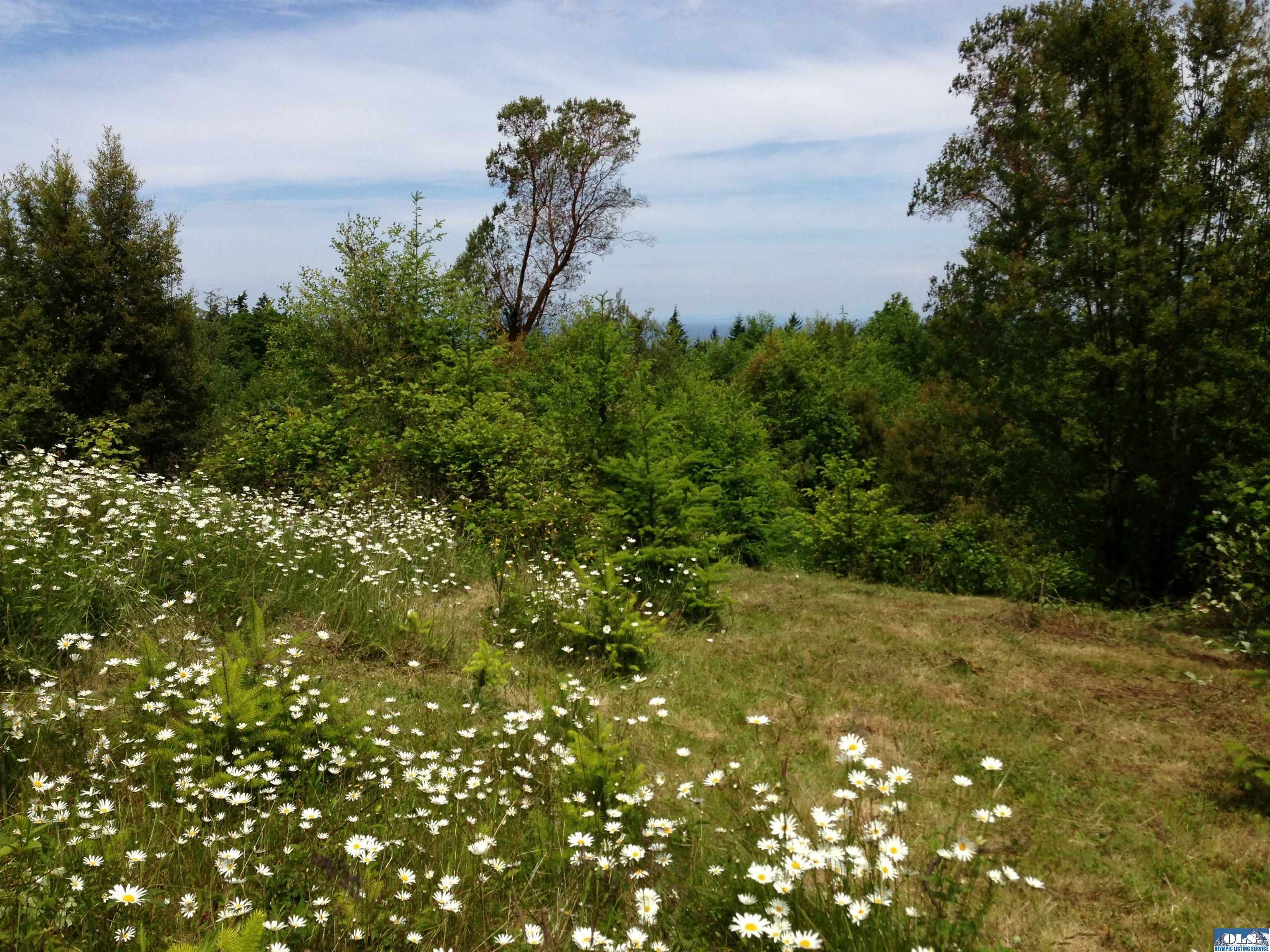 Property Photo:  000 Chelsamish Dr  WA 98382 