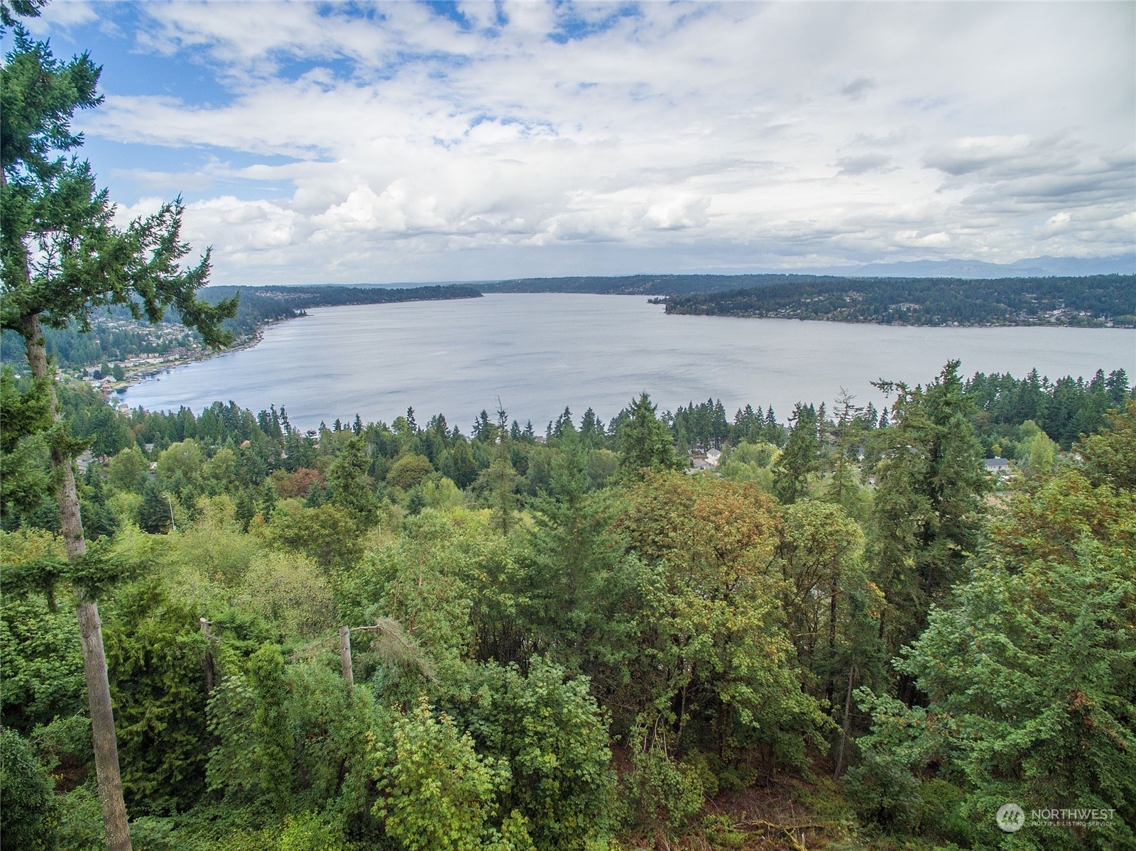 Property Photo:  173 Xx SE 42nd Court  WA 98006 