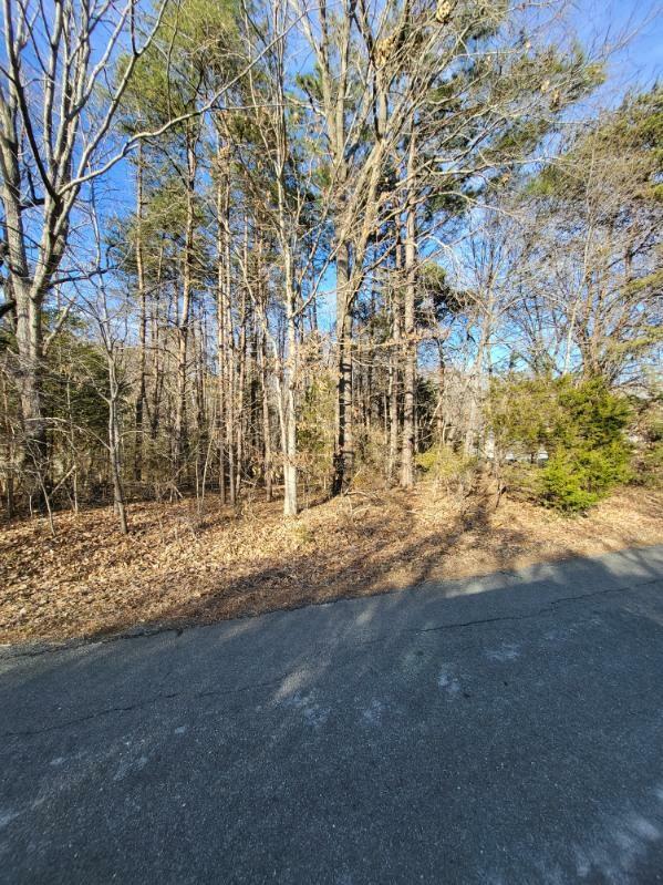 Property Photo:  Spillman Rd  VA 23901 