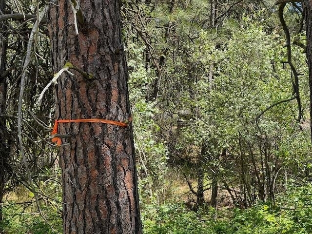 Property Photo: 587X Lot 4 Weaver Way Way Lot 4 WA 99006