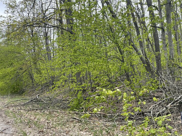 Property Photo: 990-994 Arawak Pass MI 49735