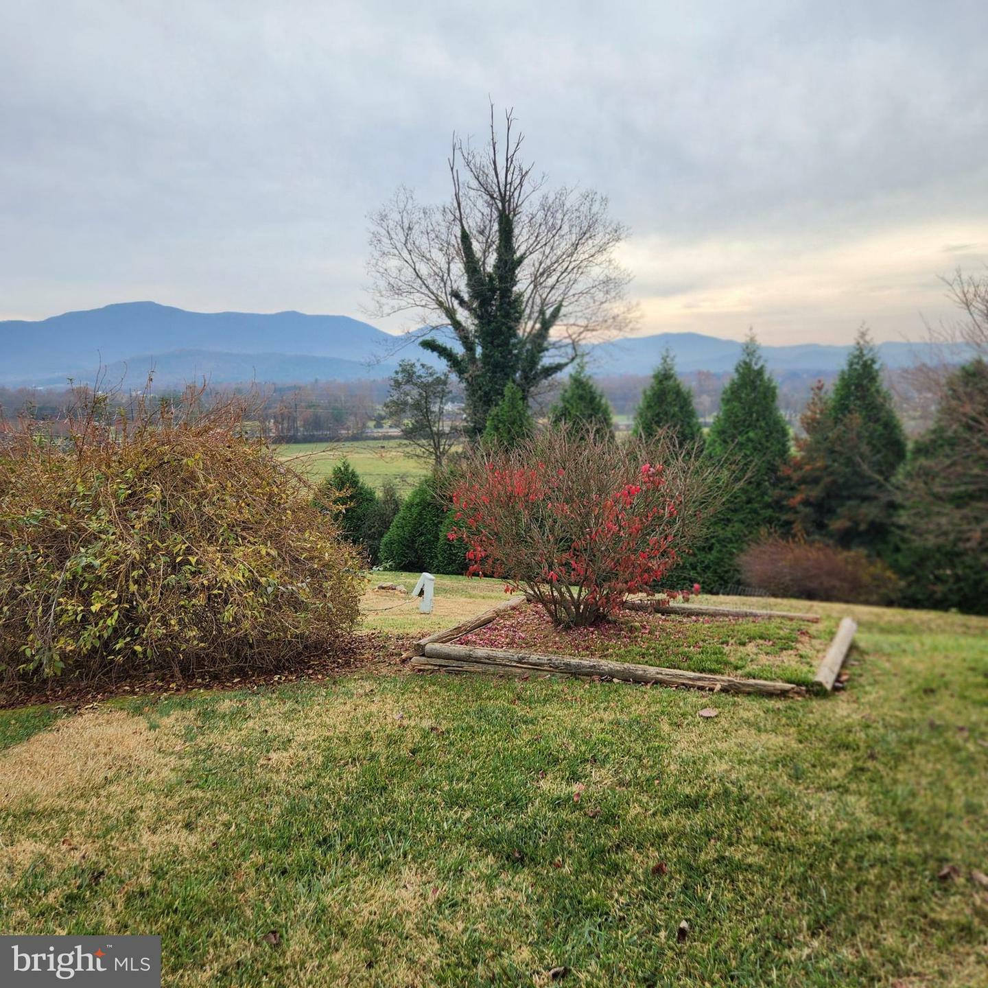 Property Photo:  24 Springview Boulevard  VA 22835 