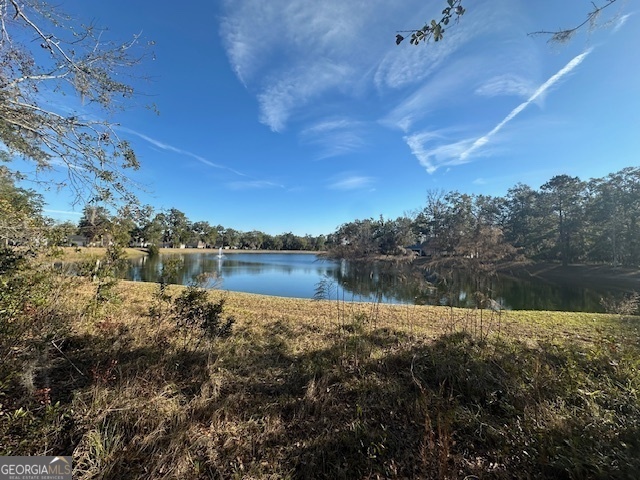 Property Photo:  V/L 276 Harbour Island Circle  GA 31565 