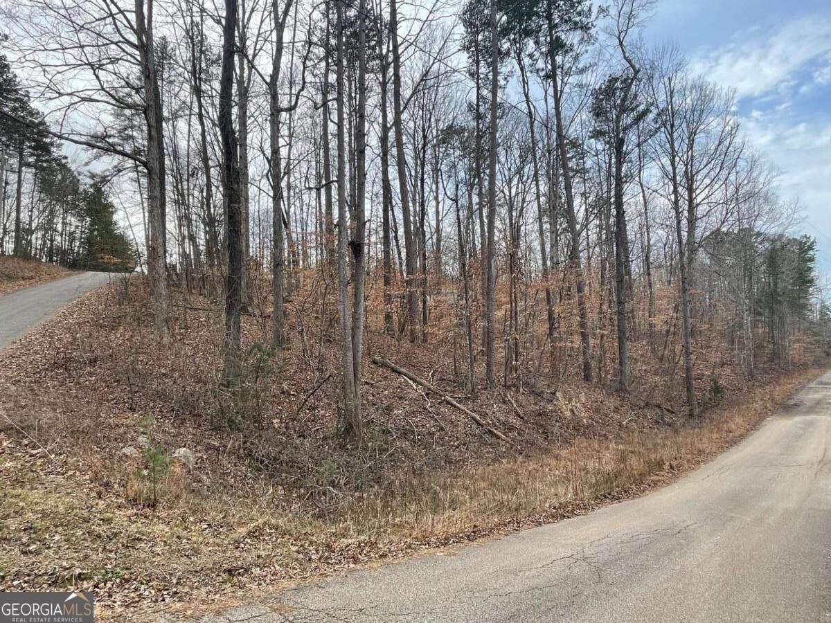 Property Photo: 18 S Buckskin Trail GA 30557