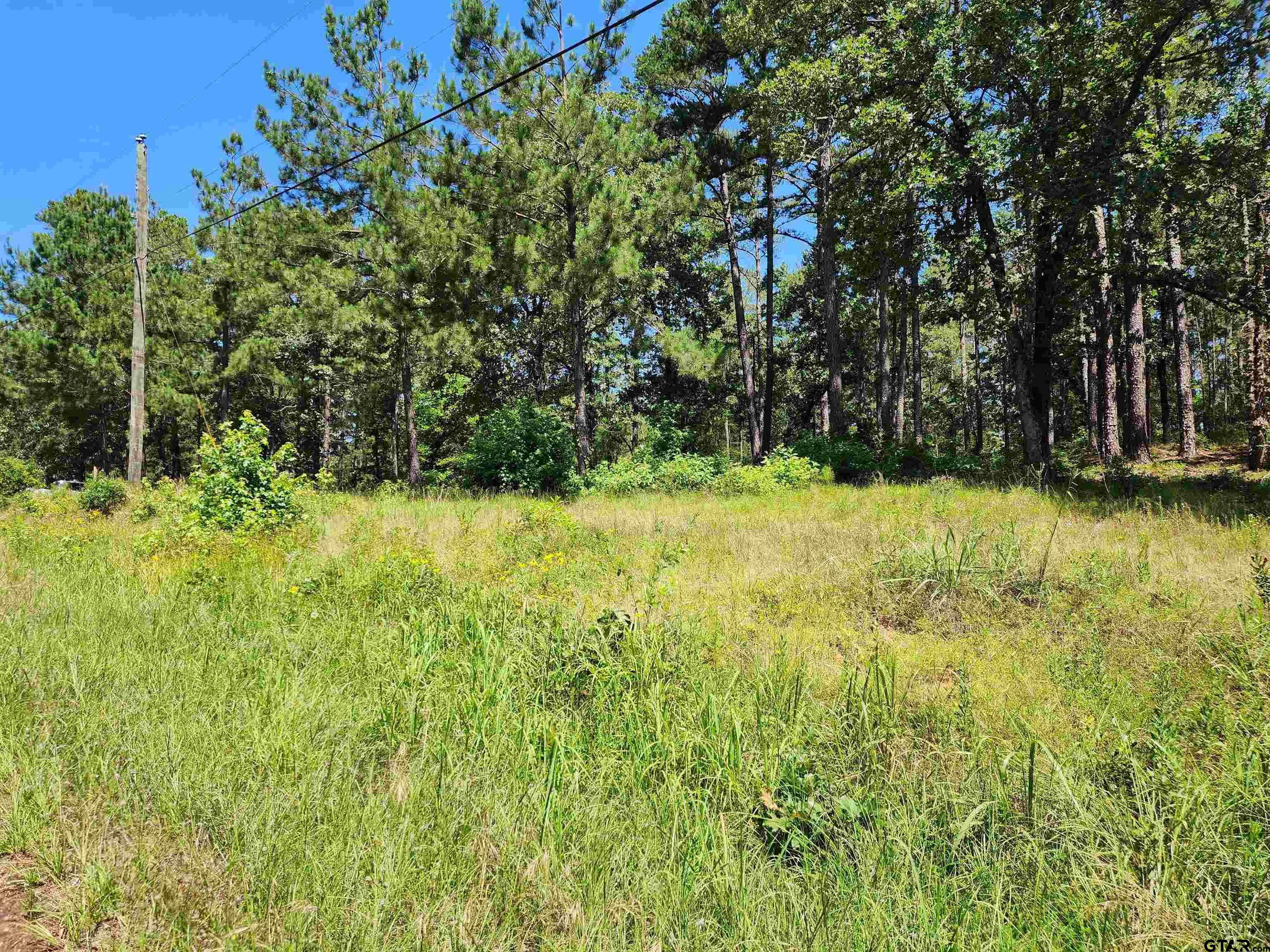 Property Photo:  16373 County Road 436  TX 75771 