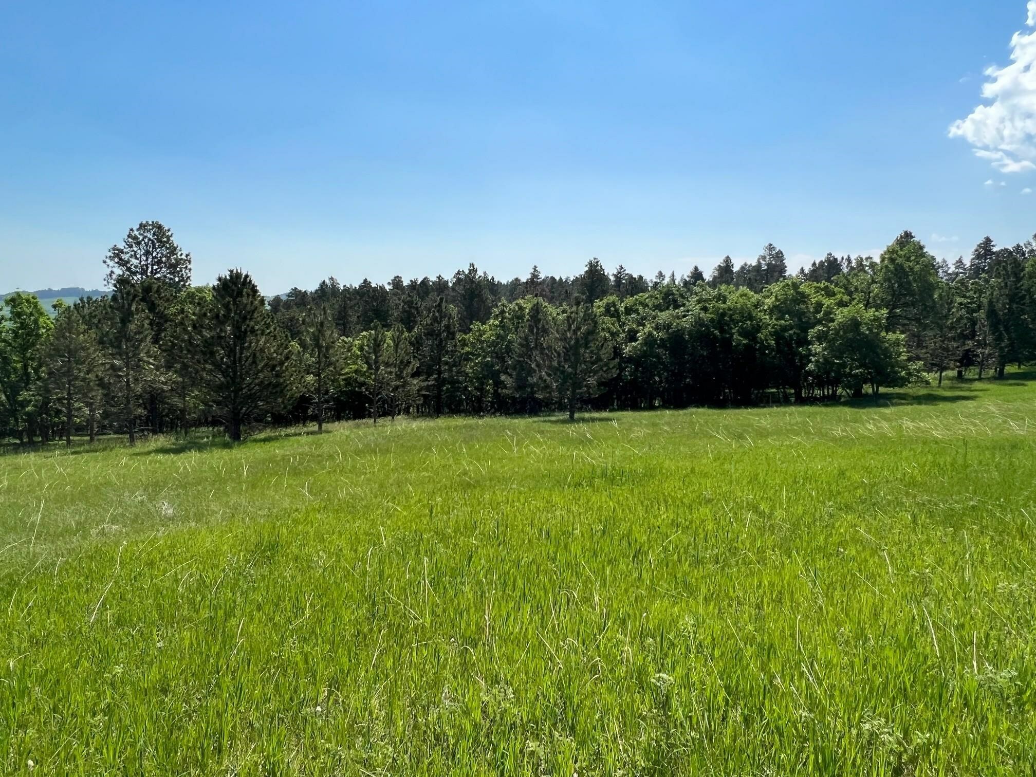 Property Photo:  Tbd Lot 7 Niobrara Drive  SD 57793 