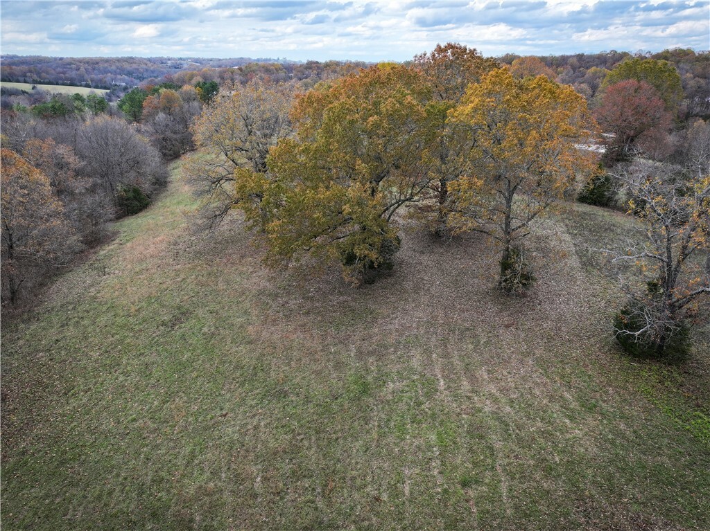 Lot 4 Old Capps Road  Harrison AR 72601 photo