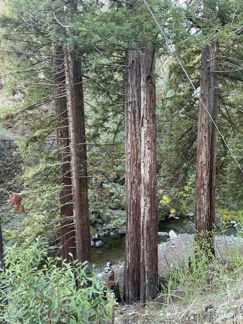 Property Photo: 18990 18992 King Ridge Road CA 95421