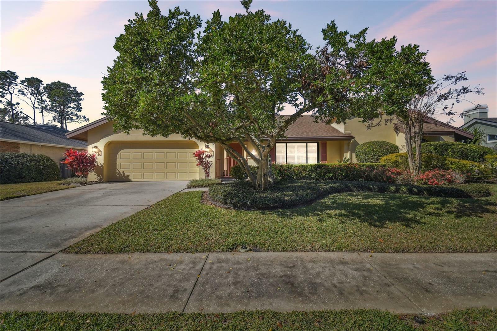 14031 Shady Shores Drive  Tampa FL 33613 photo