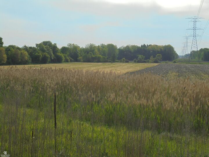 Property Photo:  00 Armada Ridge Road  MI 48005 
