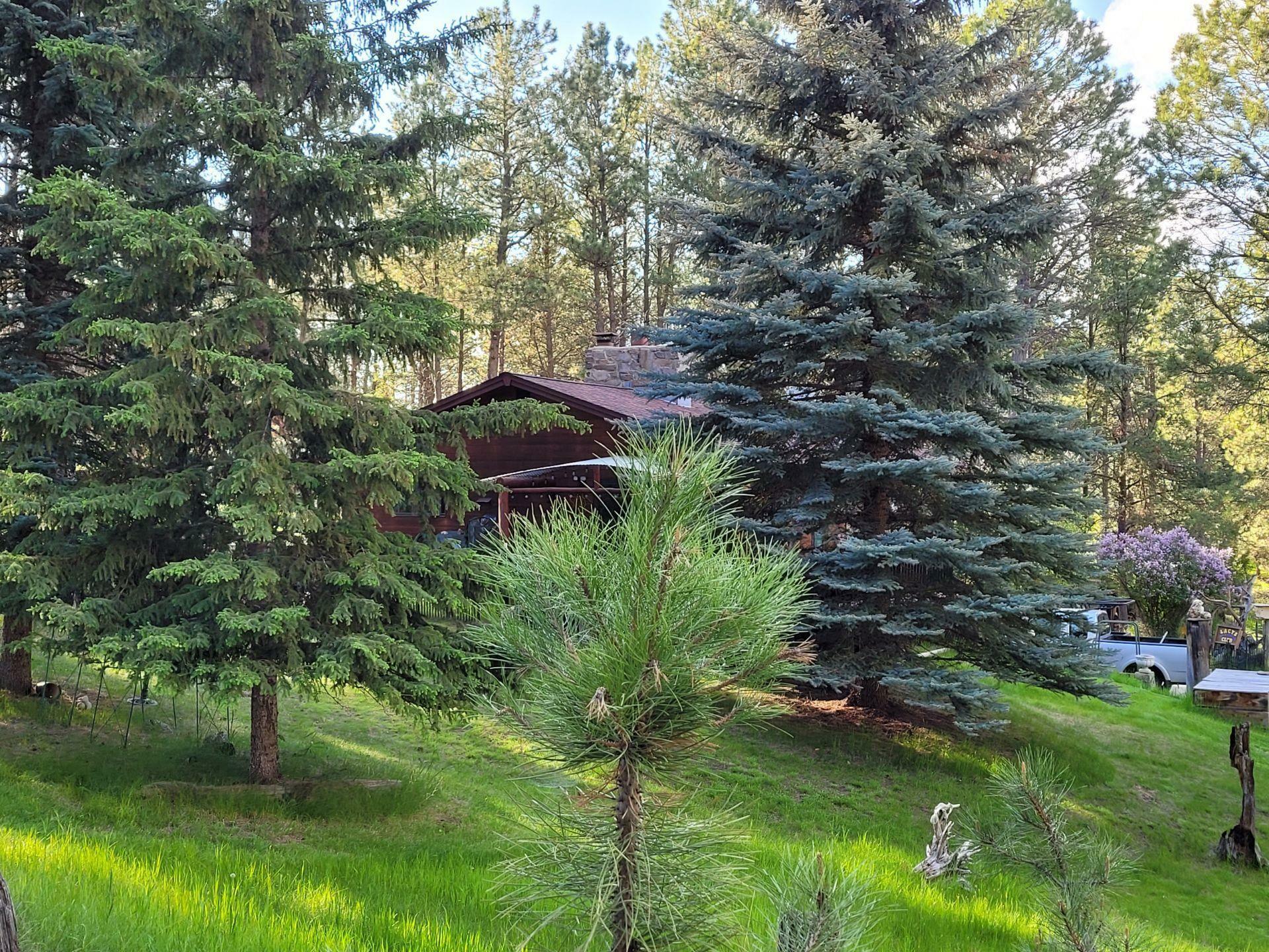 Property Photo:  12088 Big Pine Road  SD 57730 