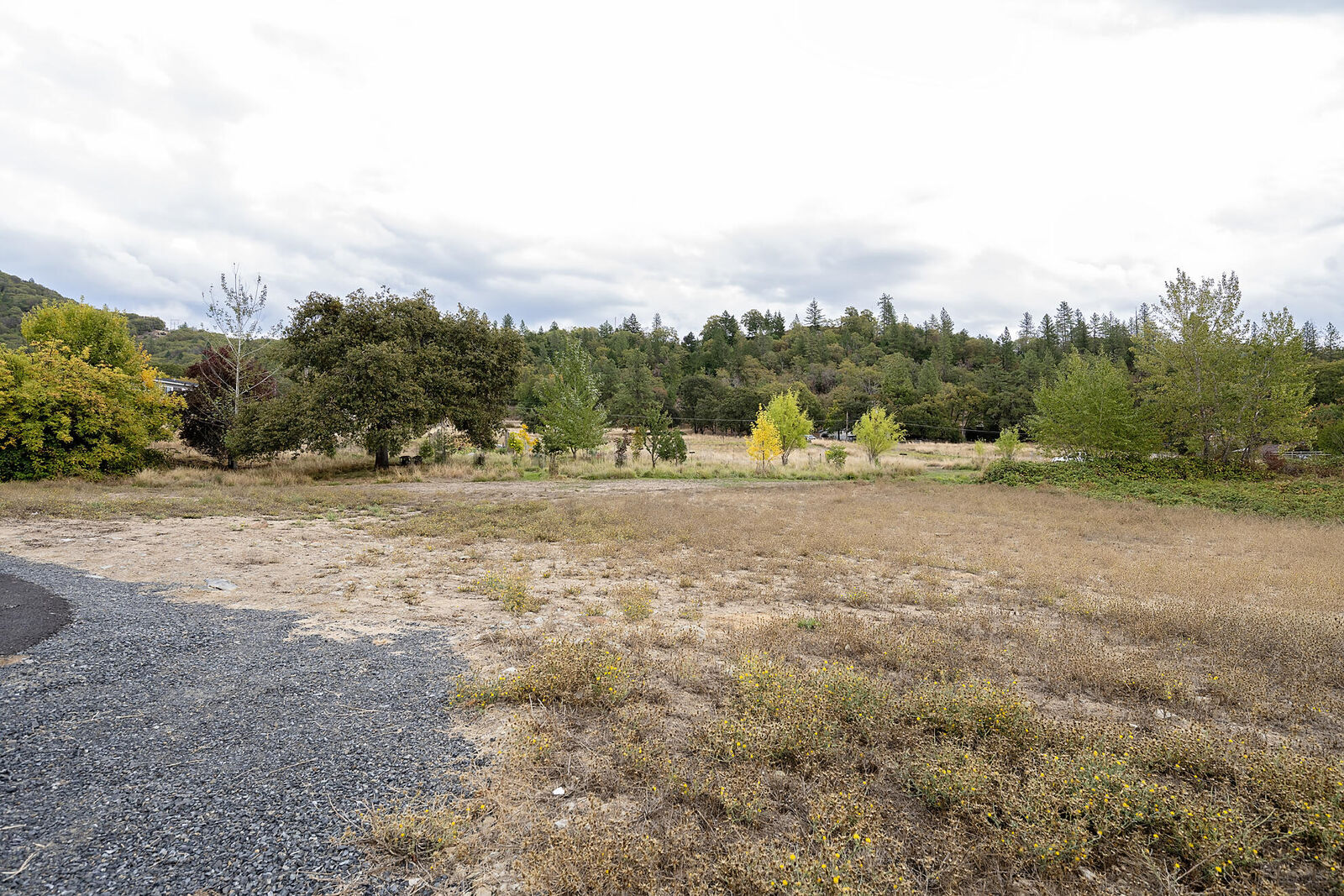Property Photo:  904 Broadway St 503  OR 97537 