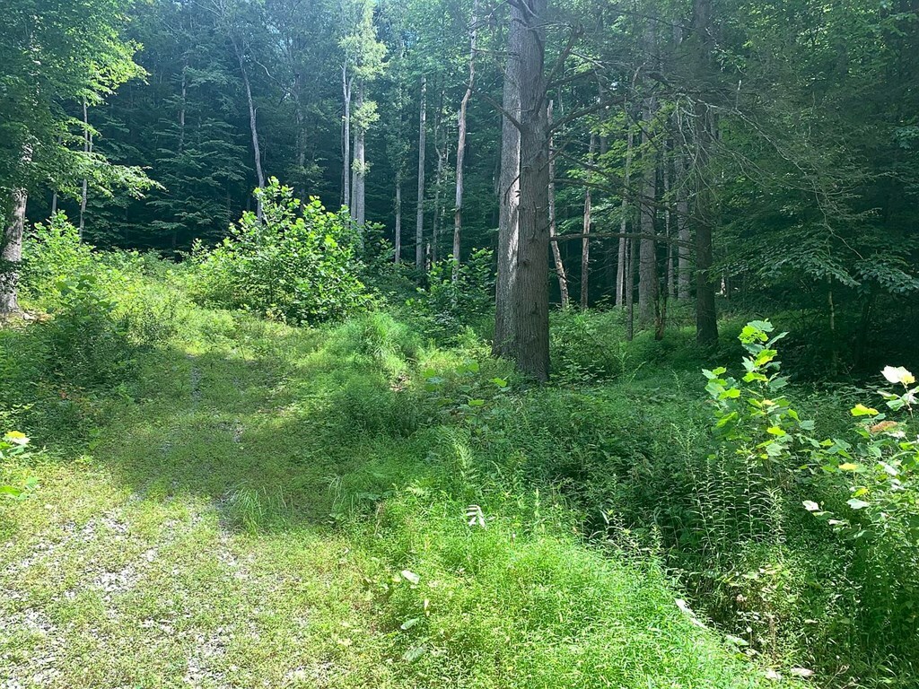 Property Photo:  00 Mountain Laurel Road  WV 26651 