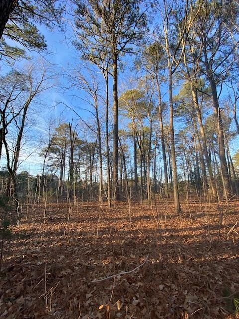 Lot 11 Barnes Cir  Parksley VA 23421 photo