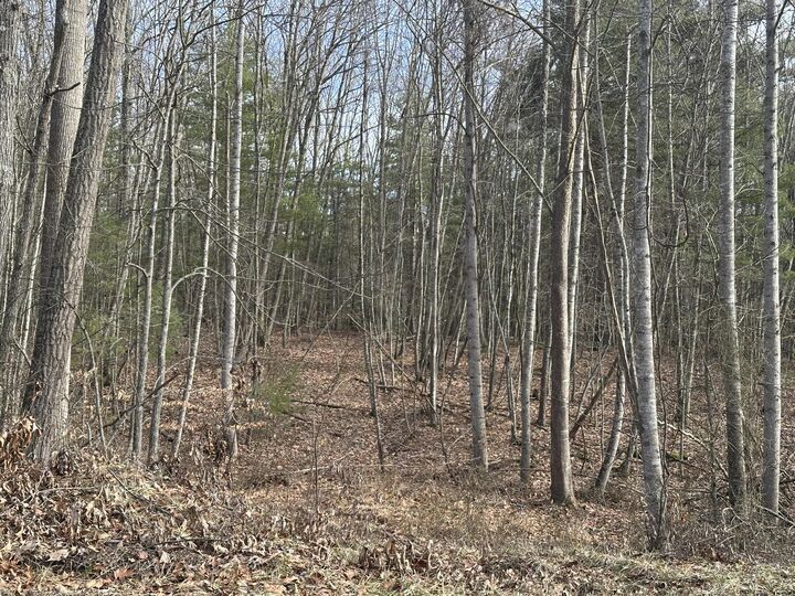 Property Photo:  Lot 1 & 2 Rt. 1, Muddy Creek Mountain   24910 