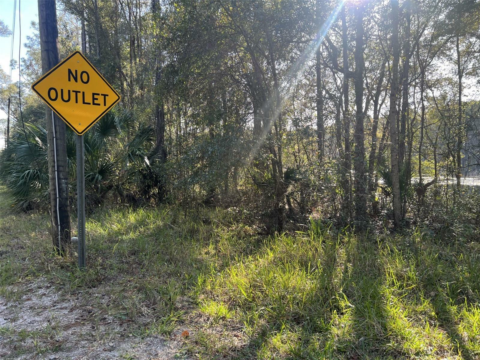 Property Photo:  Forsythe  FL 32744 