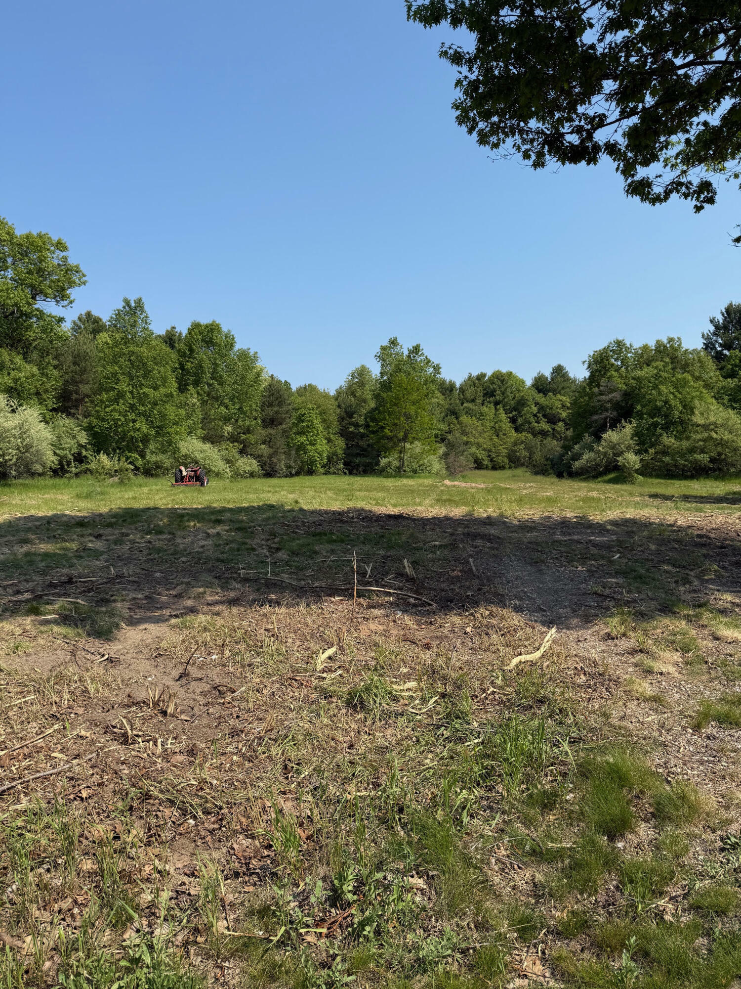 Property Photo: 1130 E Parkdale Avenue MI 49660