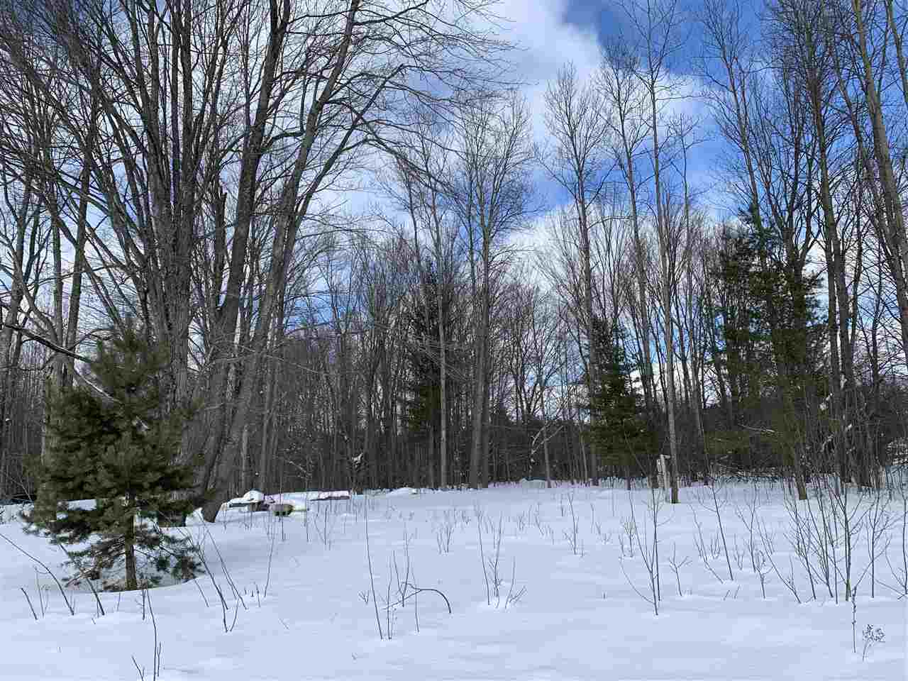 Property Photo: 6243 Lambert 3 MI 49706