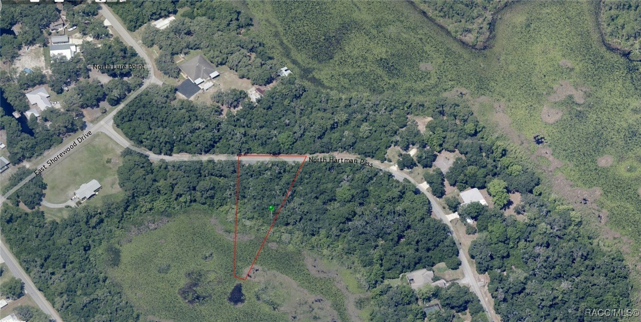 6675 N Hartman Path  Hernando FL 34442 photo