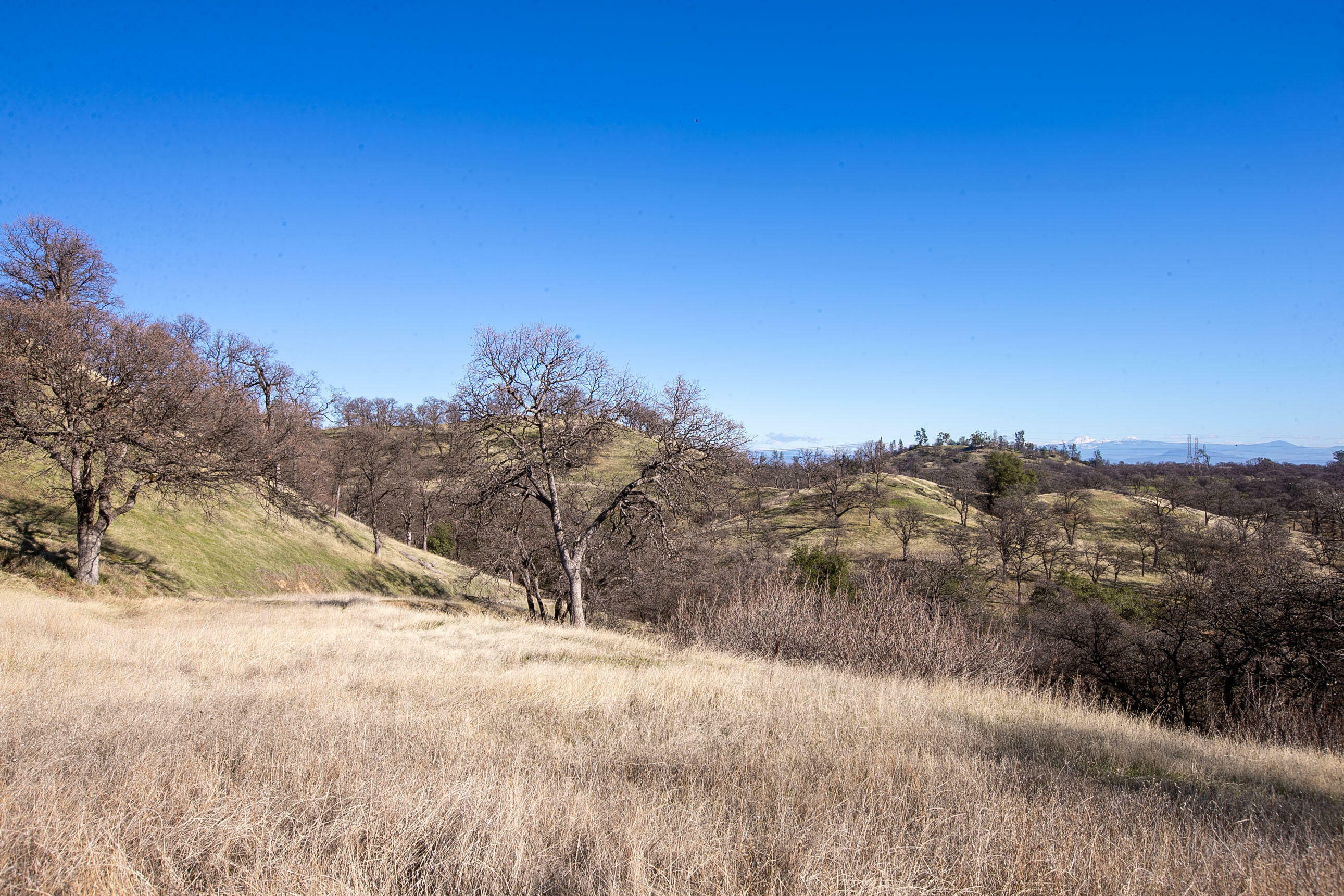 Property Photo:  Lot 13 Happy Valley Trail  CA 96022 