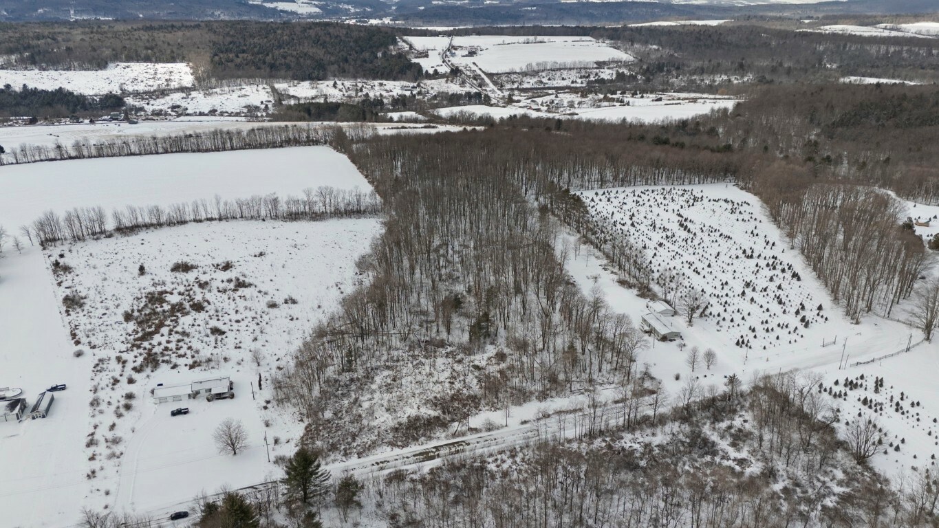 Property Photo: 29 Parsons Rd Road NY 13862