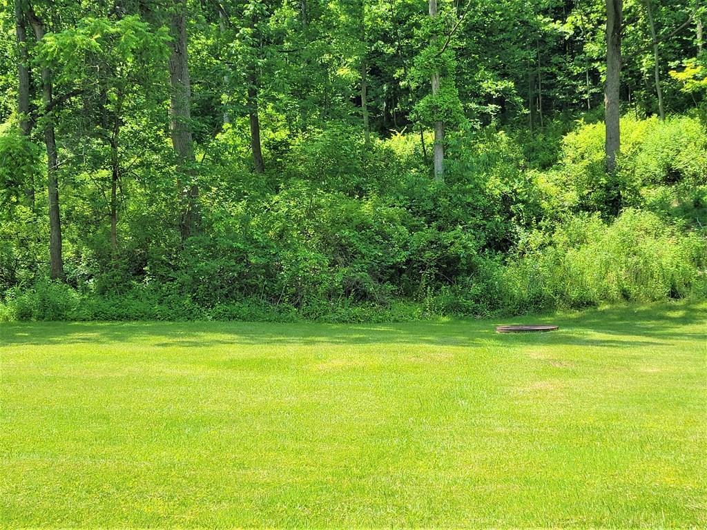 355 S Genesee Street  Montour Falls NY 14865 photo
