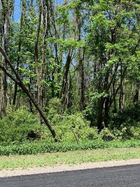 0 Covert Road  Burdett NY 14818 photo