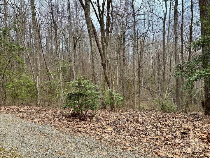 000 Orchard Mountain Road  Saluda NC 28773 photo