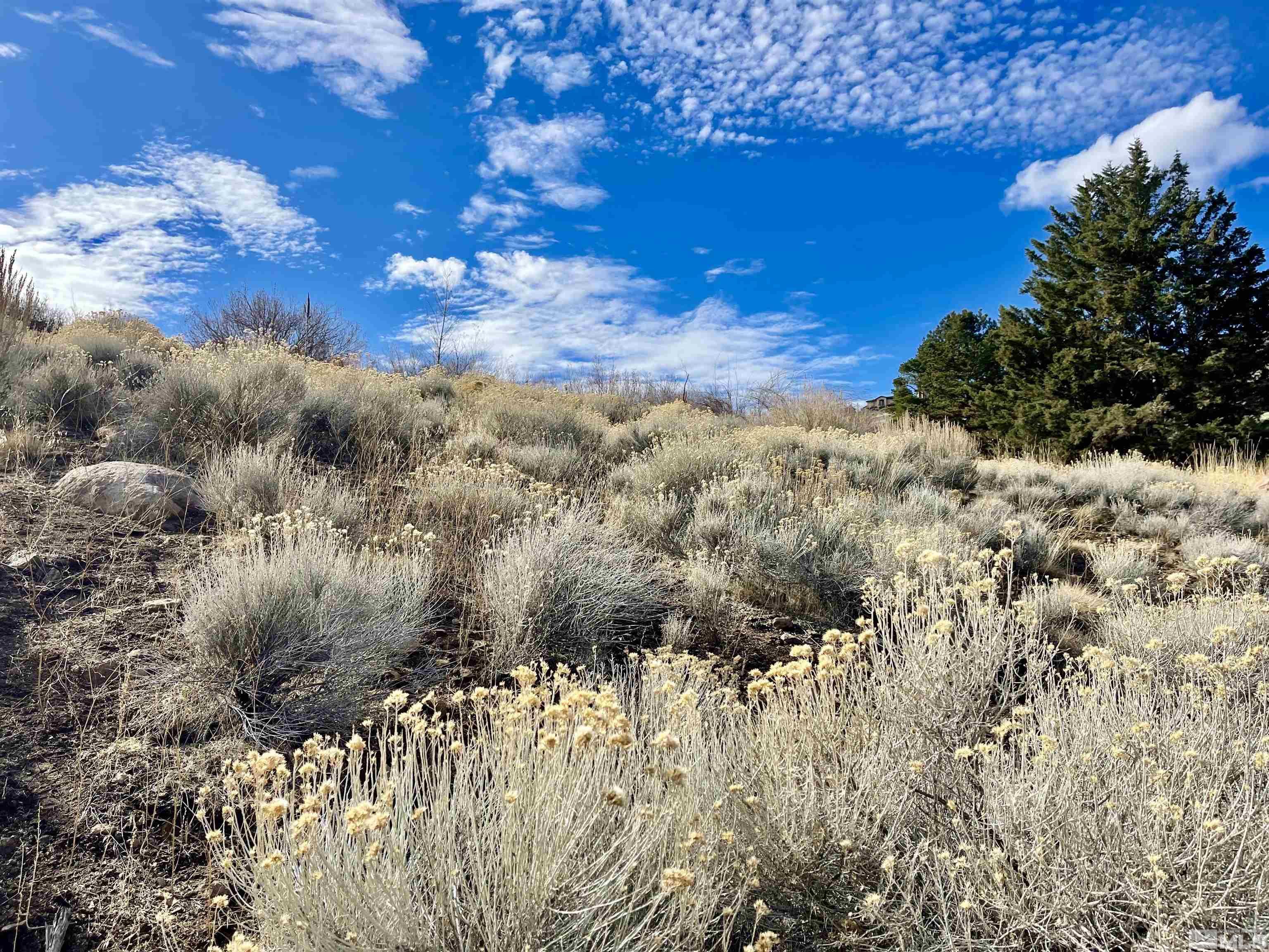 Property Photo:  2815 Lakeridge  NV 89519 