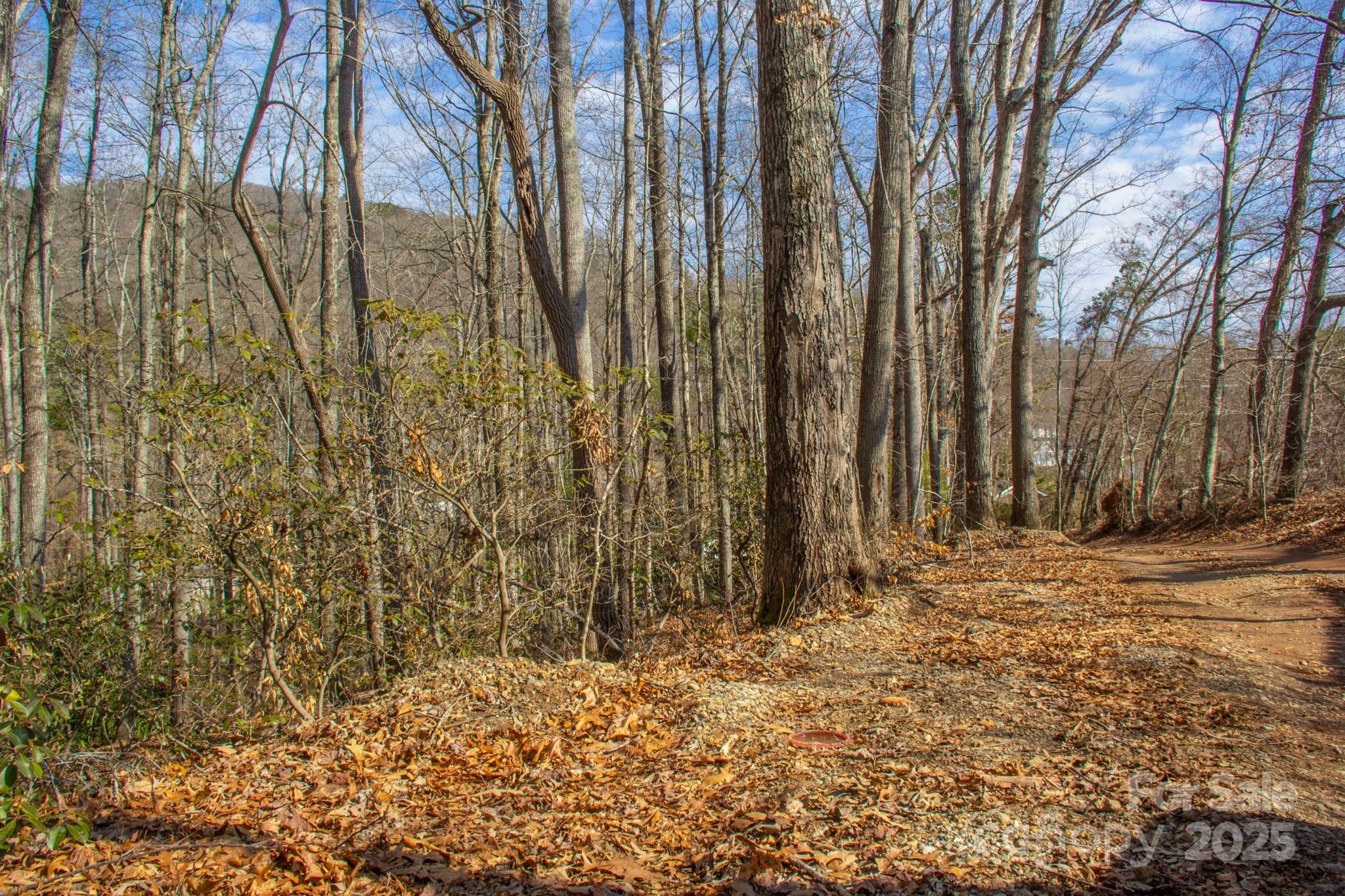 00 Meandering Trail  Asheville NC 28806 photo
