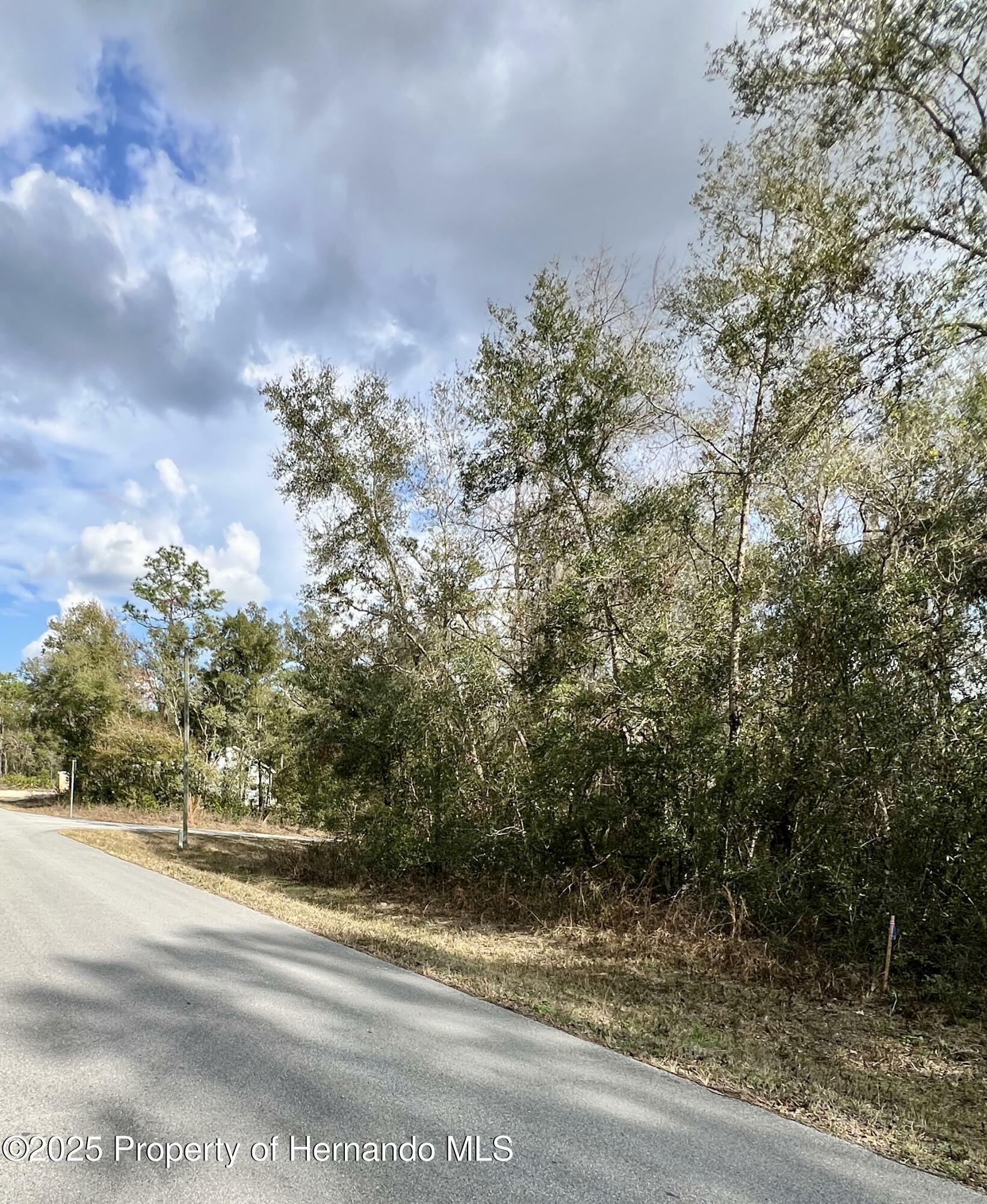 Property Photo: 0 Smallman Street FL 33597
