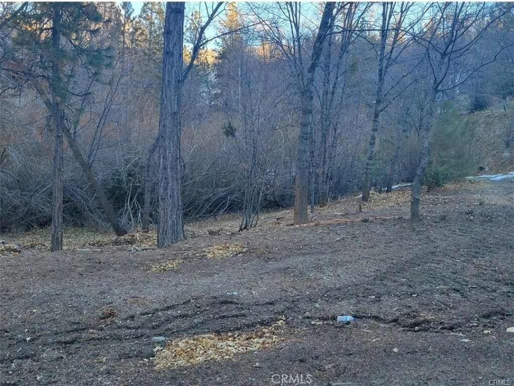 Property Photo: 0 State Hwy 173 CA 92352