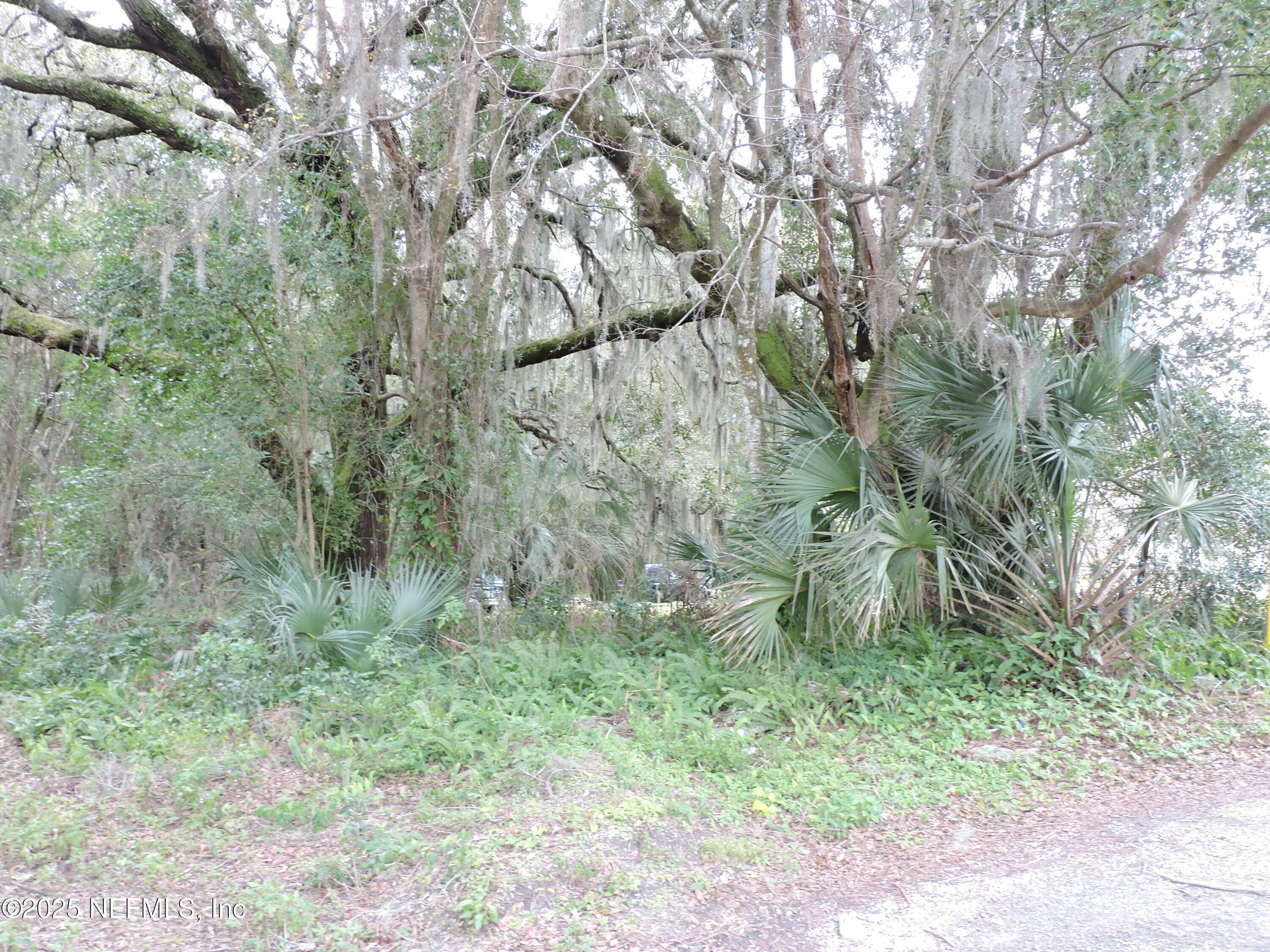 Property Photo: 2008 Nickerson Lane FL 32207