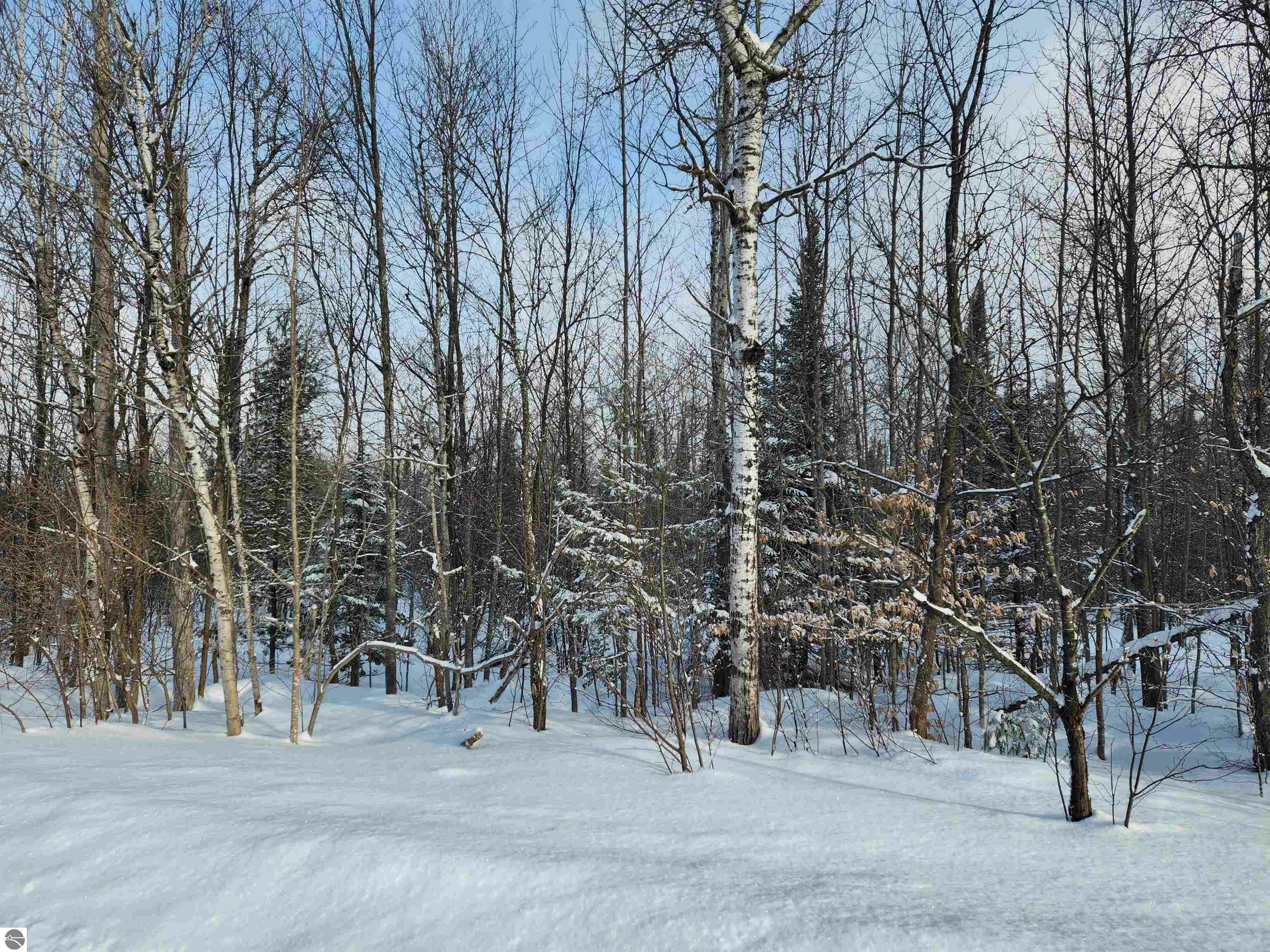 Tbd Valley Road, NW  Rapid City MI 49676 photo