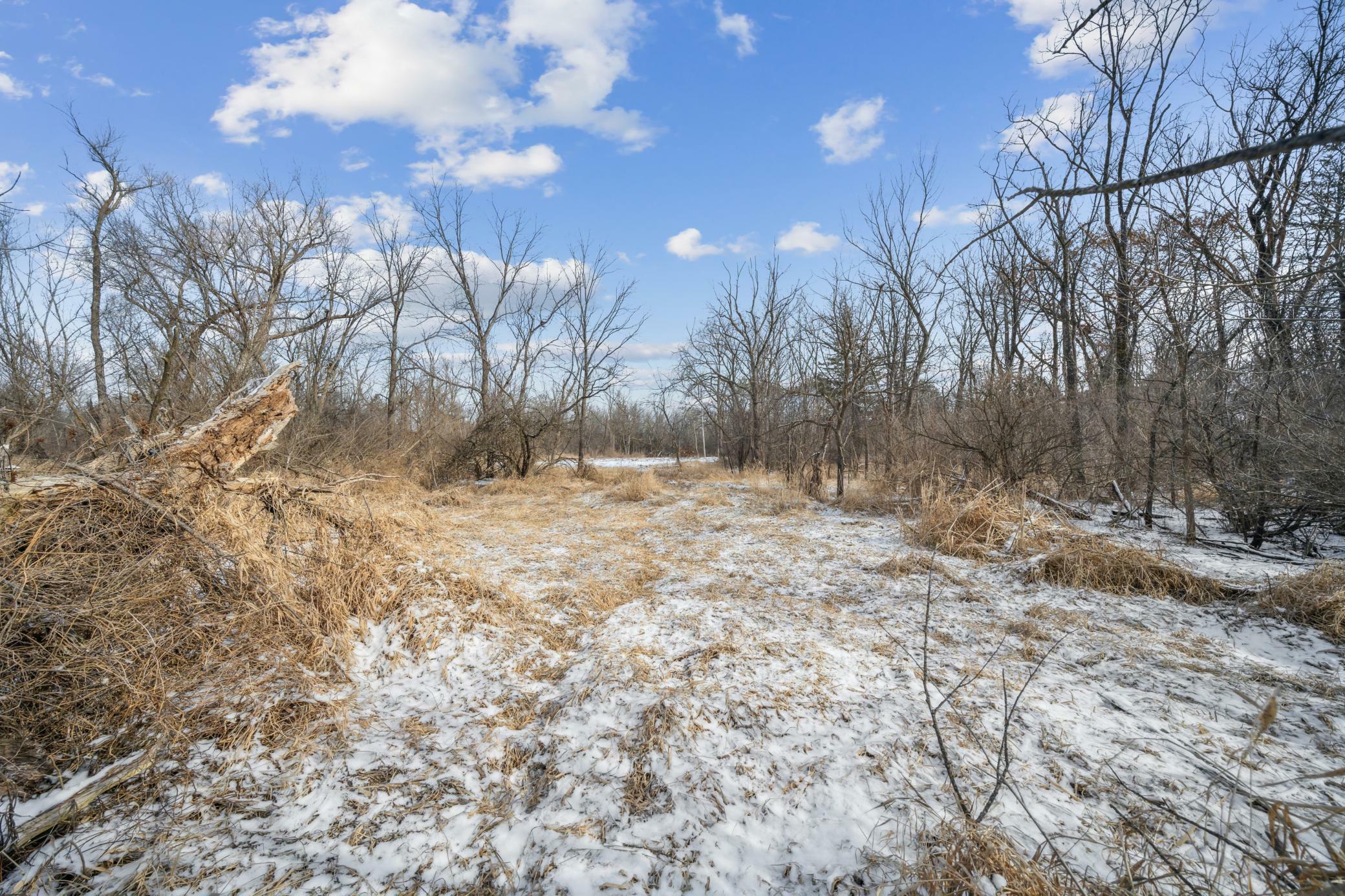 Property Photo:  Xxxx Pinewood Road SE  MN 55904 