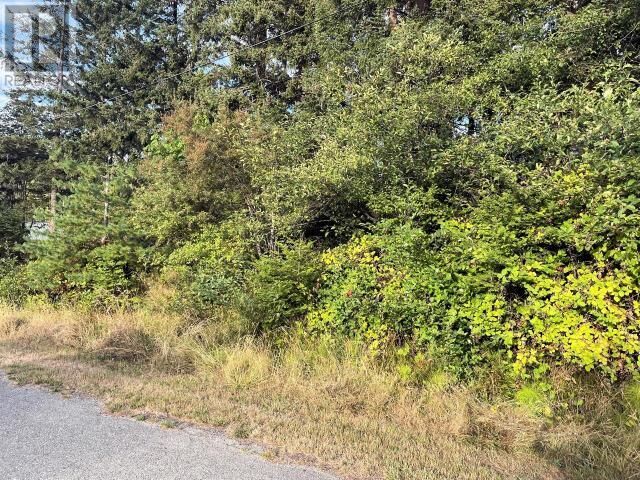 Lot 3 Cedar Street — photo 1