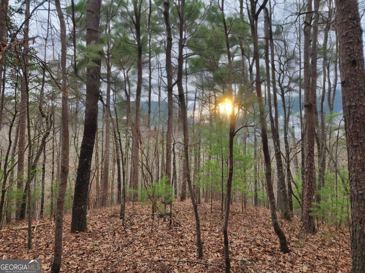 Property Photo: Lot 1665 Hunter Drive GA 30175