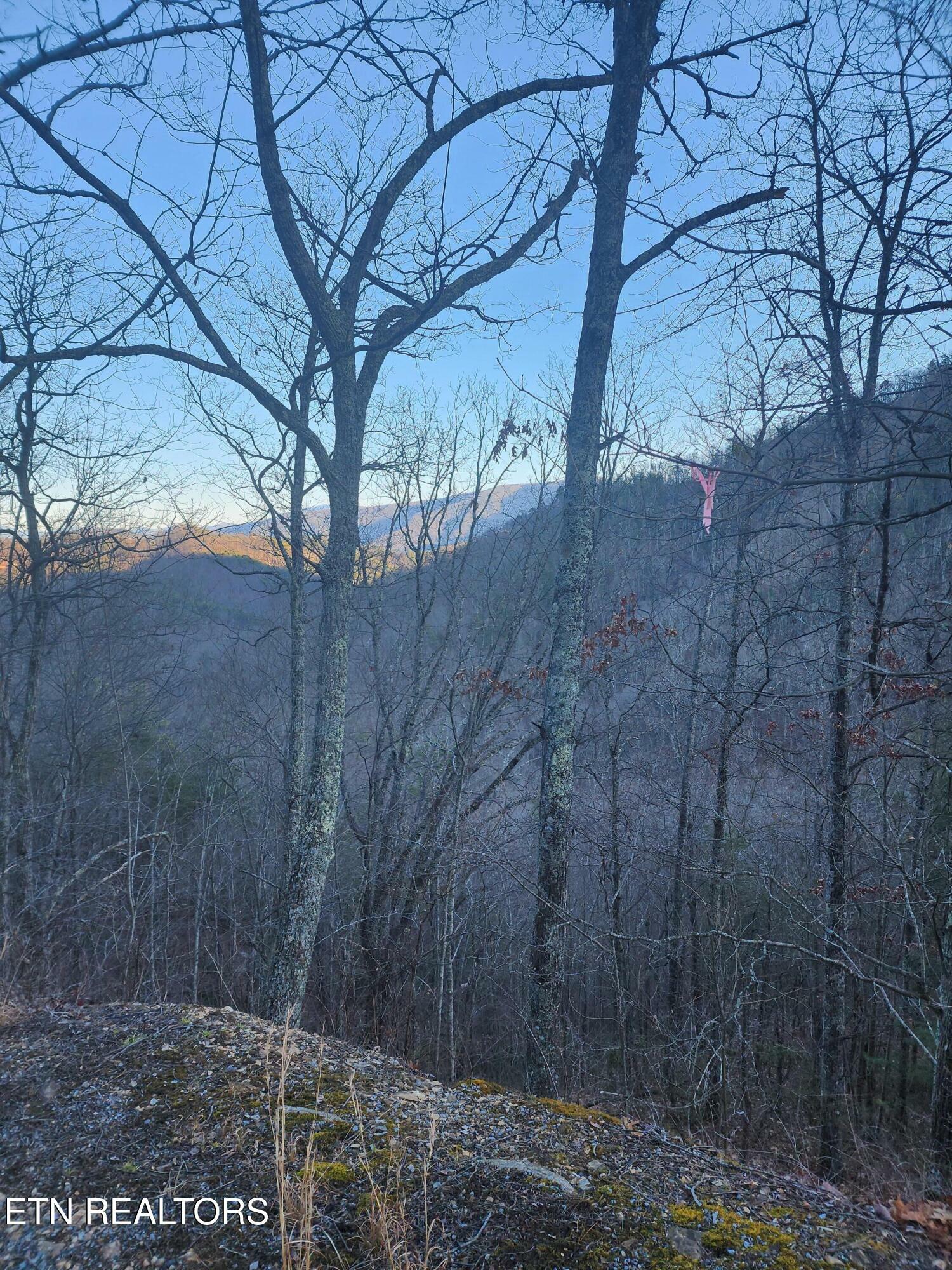 Property Photo:  Overholt Trl Lot 2B  TN 37862 