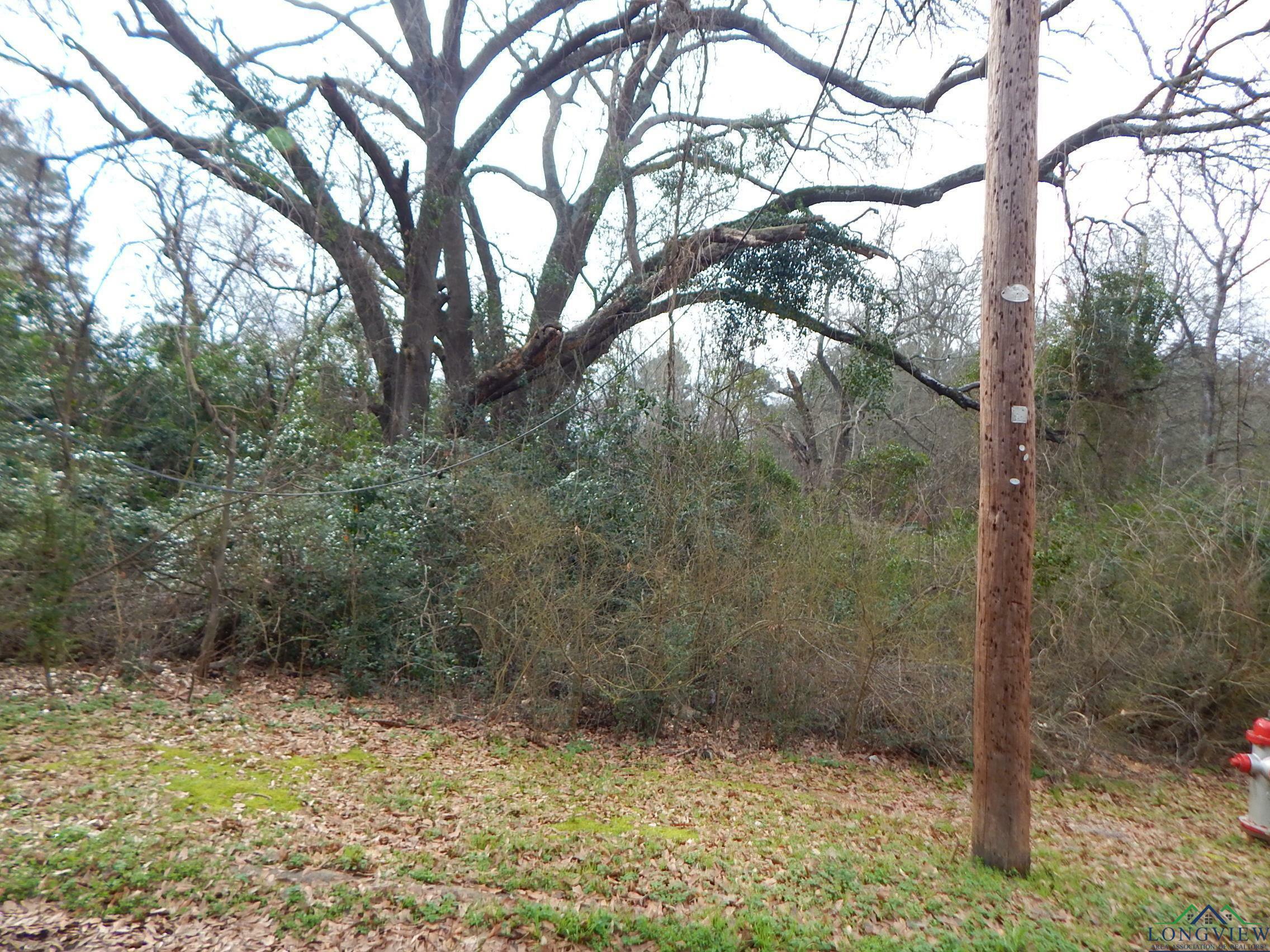 Property Photo:  Tbd .3461 Acres Clark St.  TX 75644 