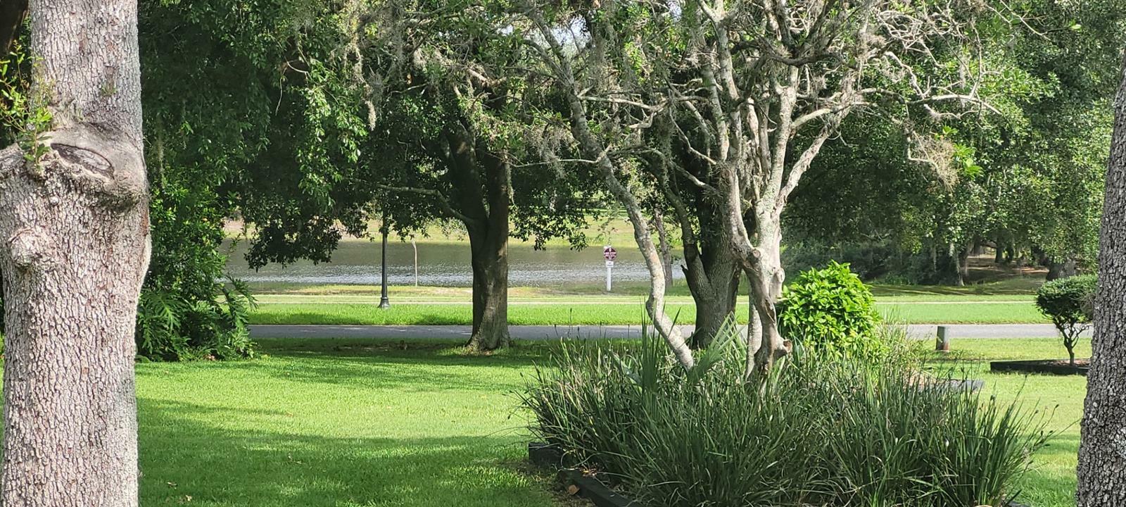 Property Photo: 25941 Newcombe Circle FL 34748