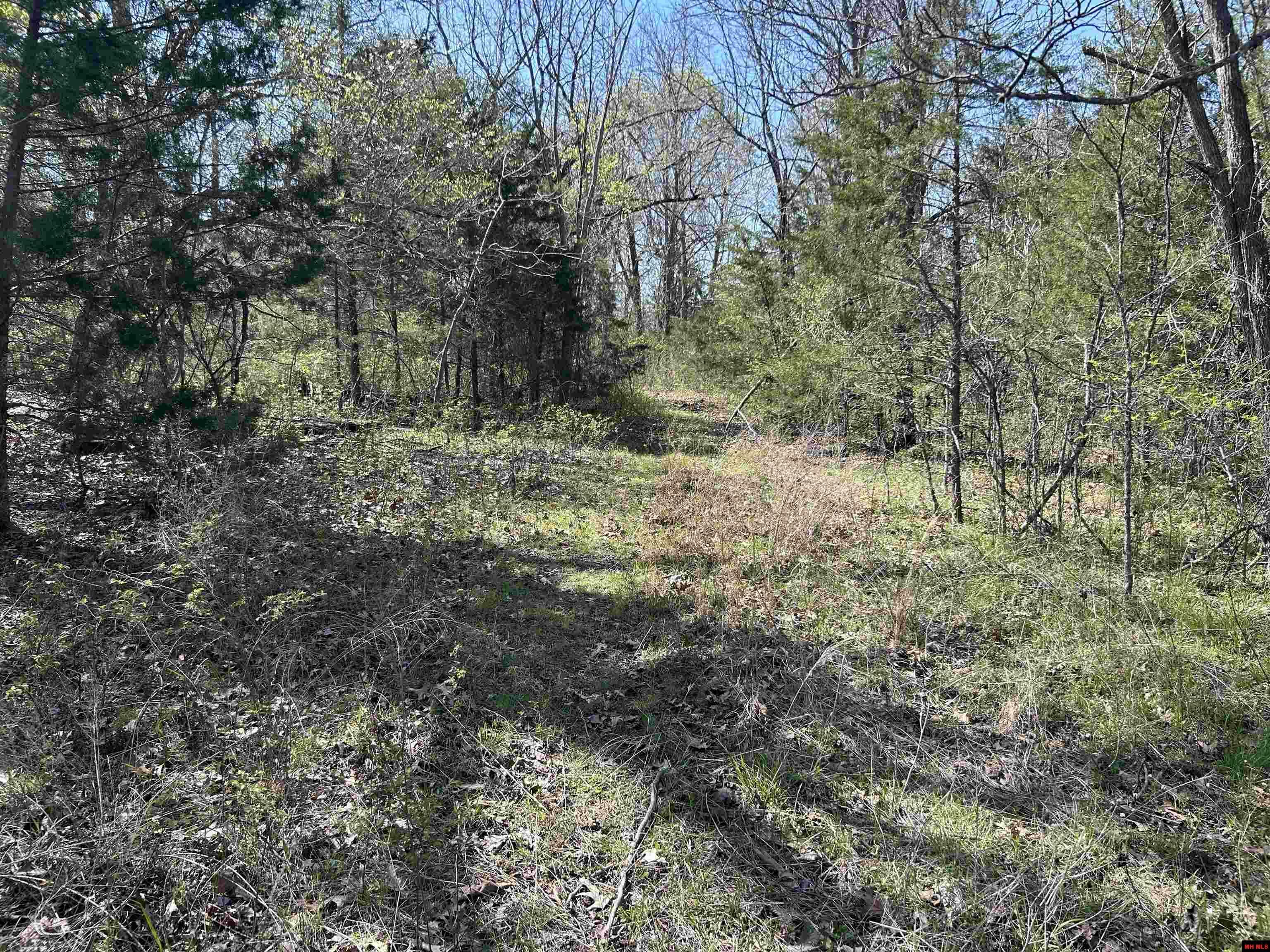 Property Photo: 001-06369-002 Lansbury Lane AR 72653