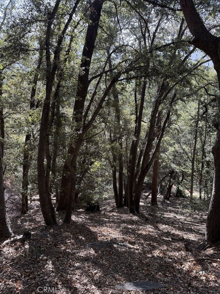 Property Photo:  0 343-061-27-000  CA 92322 