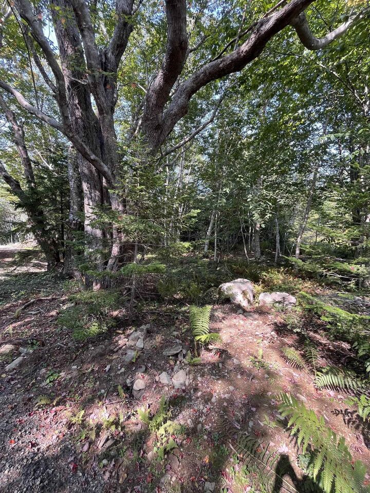 Property Photo:  Lot 340 Highway  NS B0W 3T0 
